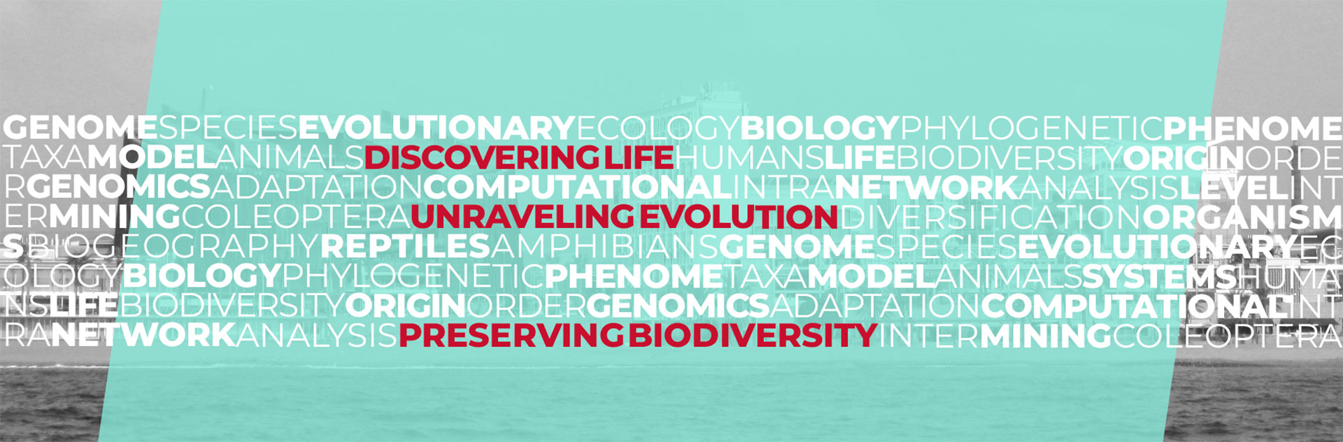 Discovering life - Unraveling Evolution - Preserving Biodiversity